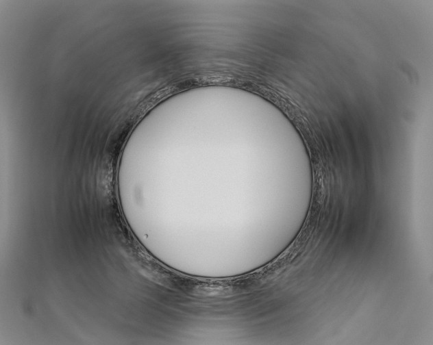 X0000112930745200908241054