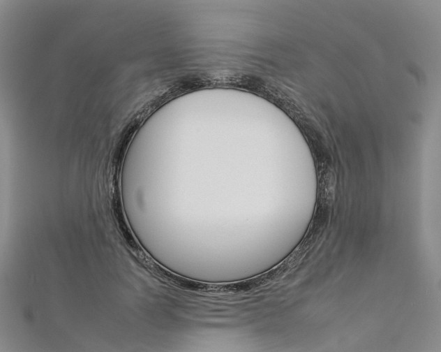 X0000112930746200908241054