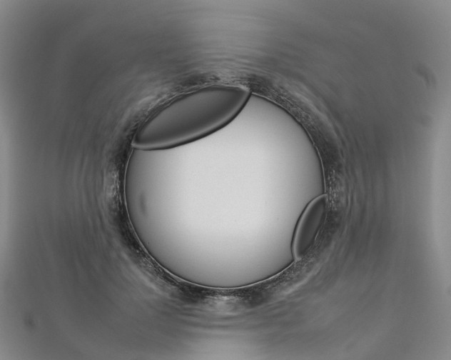 X0000112930748200908241054