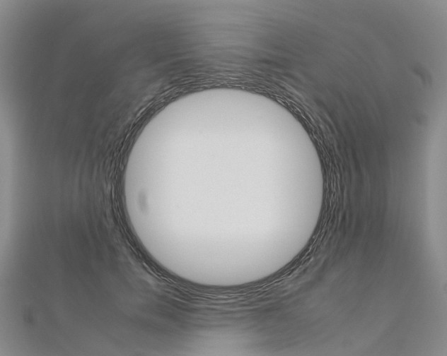 X0000112930750200908241054
