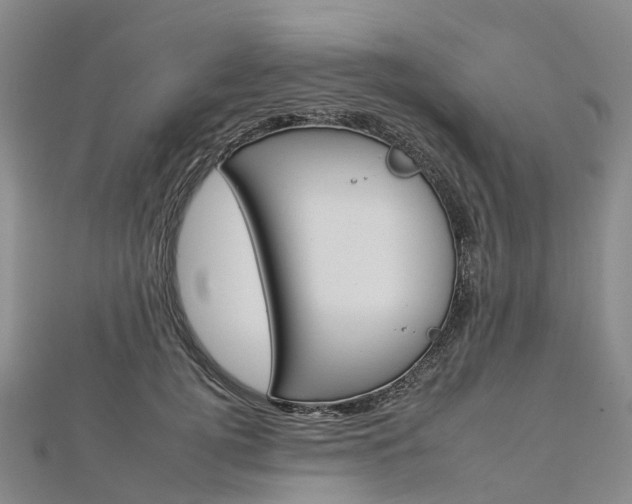 X0000112930752200908241054
