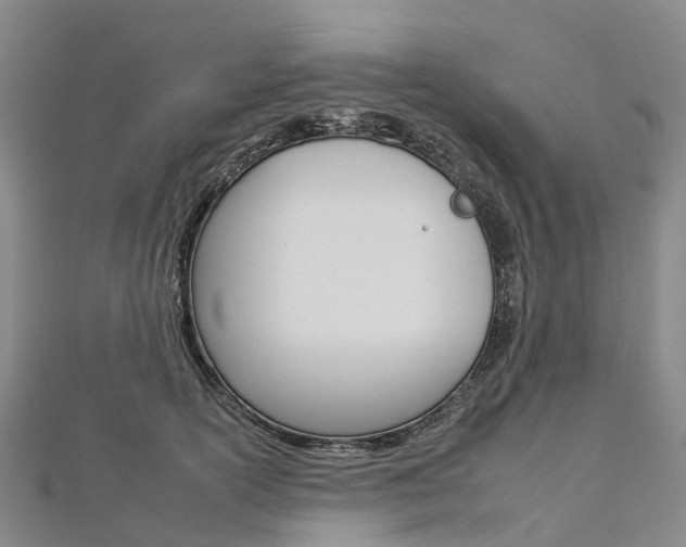 X0000112930754200908241054