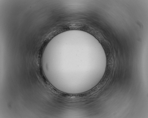 X0000112930755200908241054