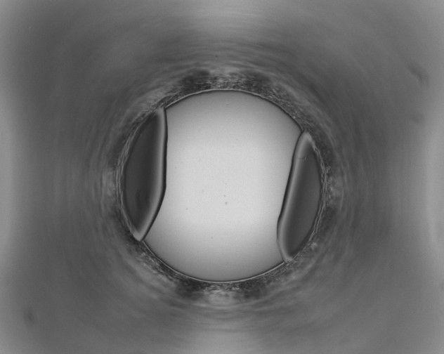 X0000112930756200908241054