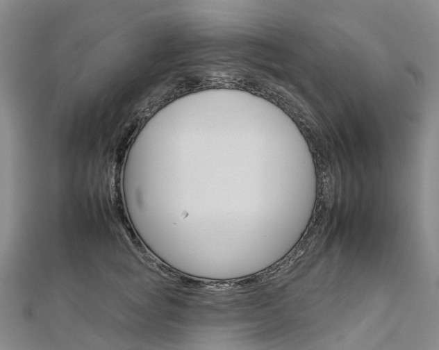 X0000112930757200908241054