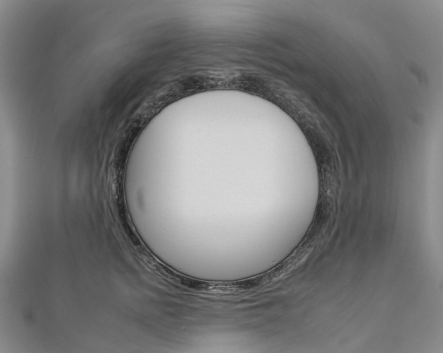 X0000112930758200908241054