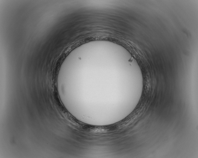 X0000112930759200908241054