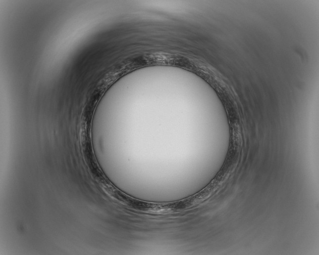 X0000112930760200908241054