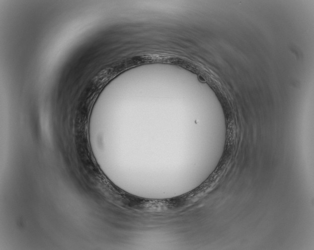 X0000112930762200908241054