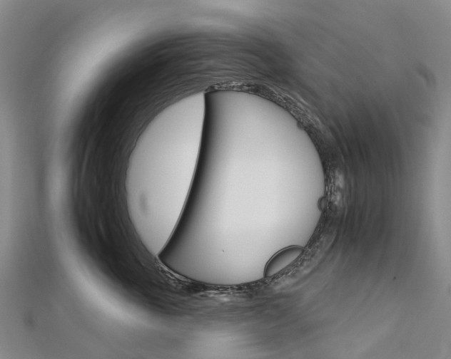 X0000112930763200908241054
