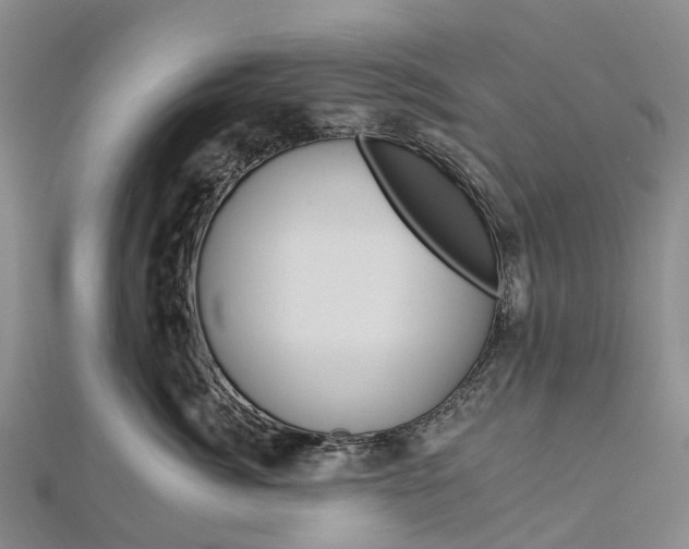X0000112930764200908241054