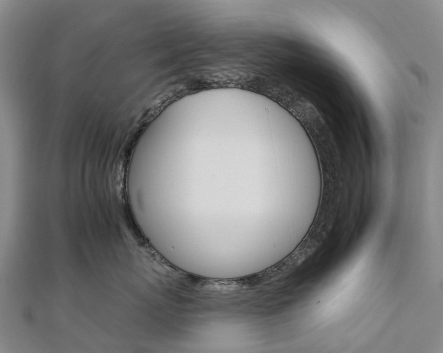 X0000112930767200908241054