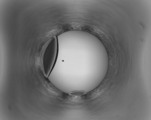 X0000112930768200908241054