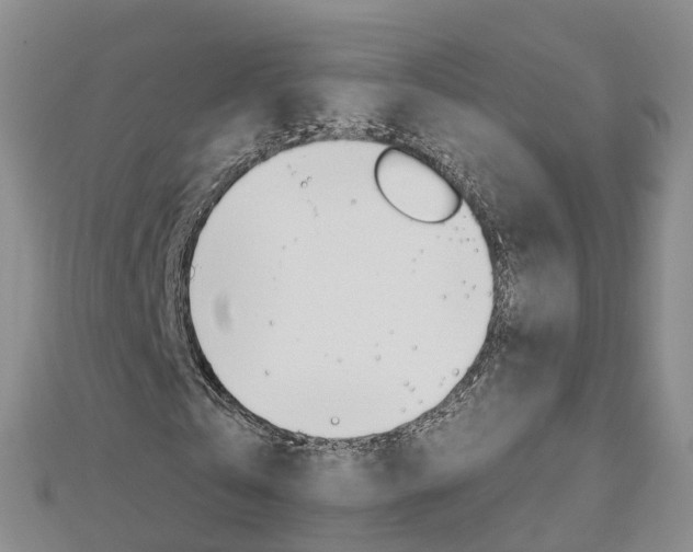 X0000112930769200908241053