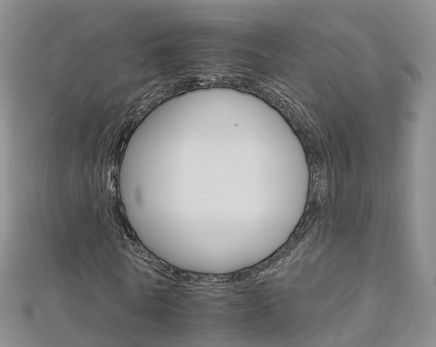 X0000112930770200908241053