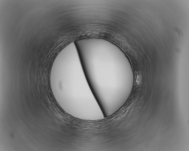 X0000112930771200908241053