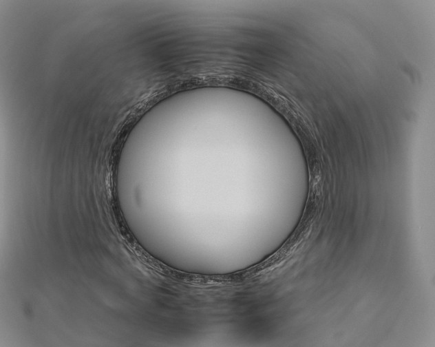 X0000112930772200908241053
