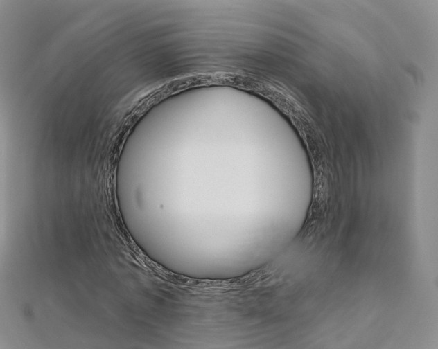 X0000112930773200908241053