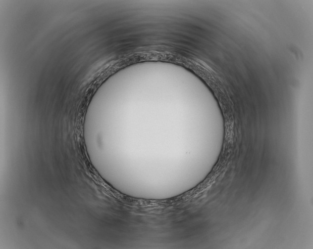 X0000112930774200908241053