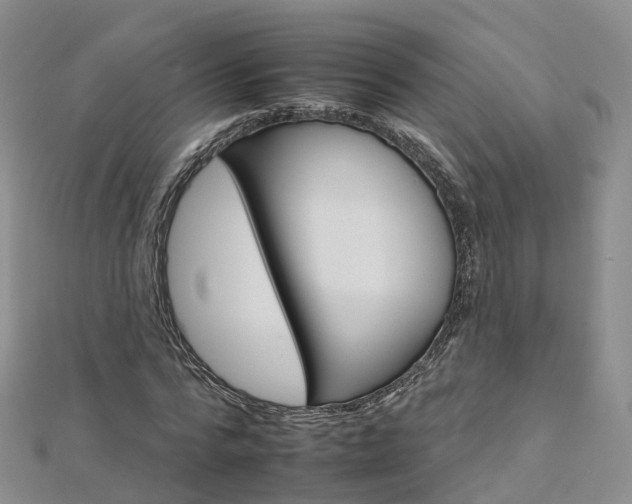 X0000112930776200908241053