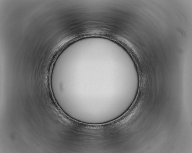 X0000112930778200908241053