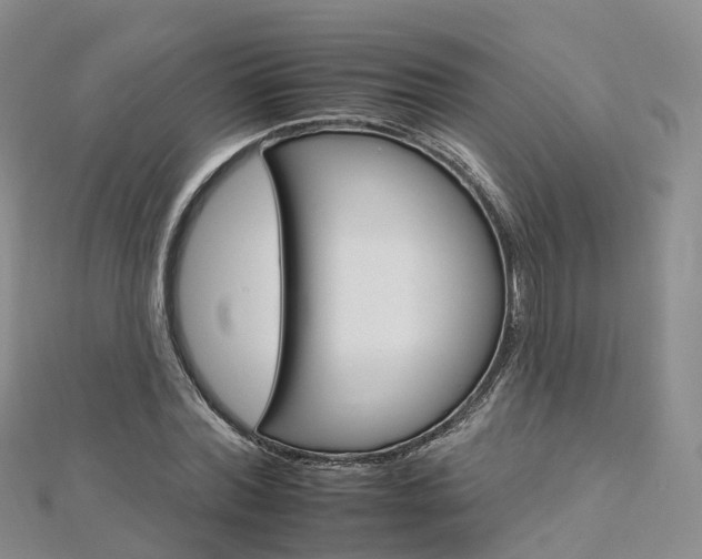 X0000112930780200908241053
