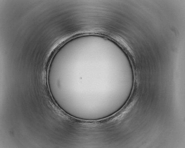 X0000112930781200908241053