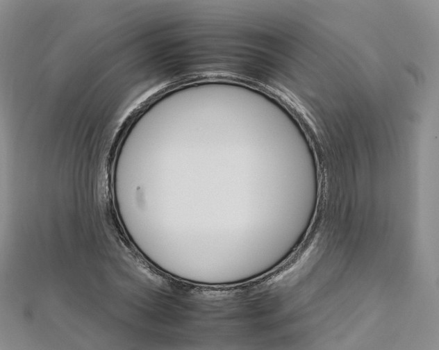 X0000112930782200908241053