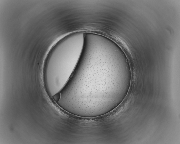 X0000112930784200908241053