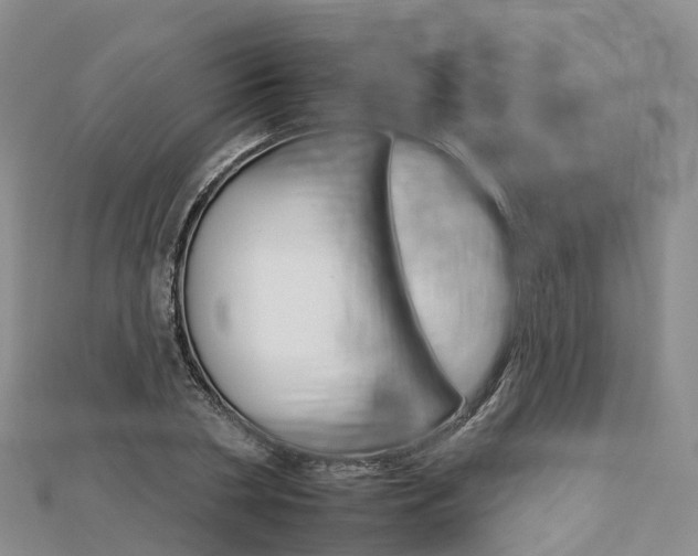 X0000112930786200908241053