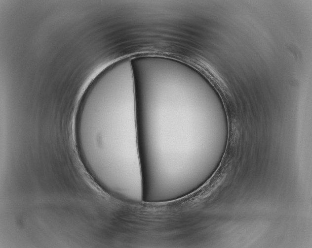 X0000112930788200908241053