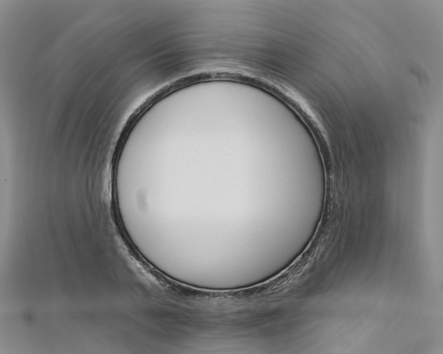 X0000112930791200908241053