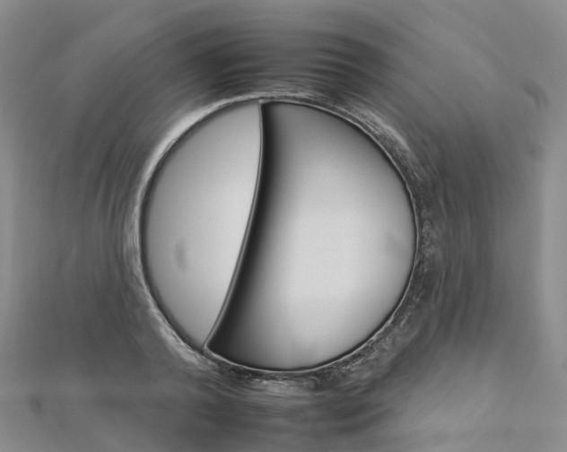 X0000112930792200908241053
