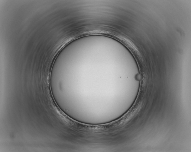 X0000112930793200908241053