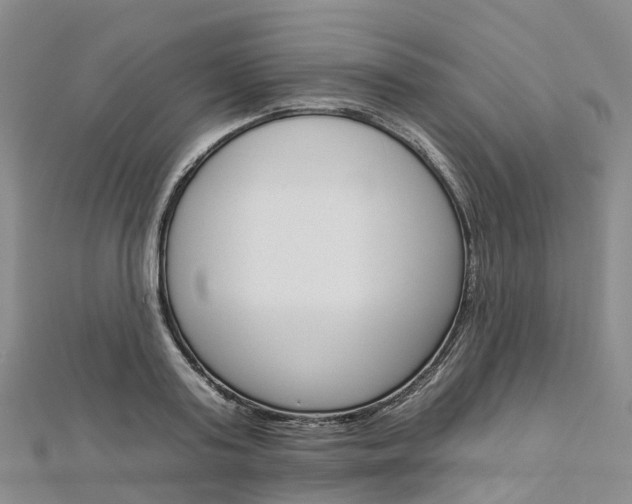 X0000112930795200908241053