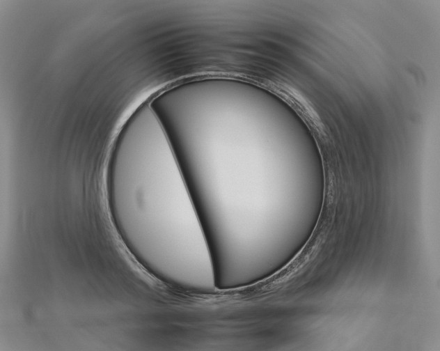 X0000112930796200908241053