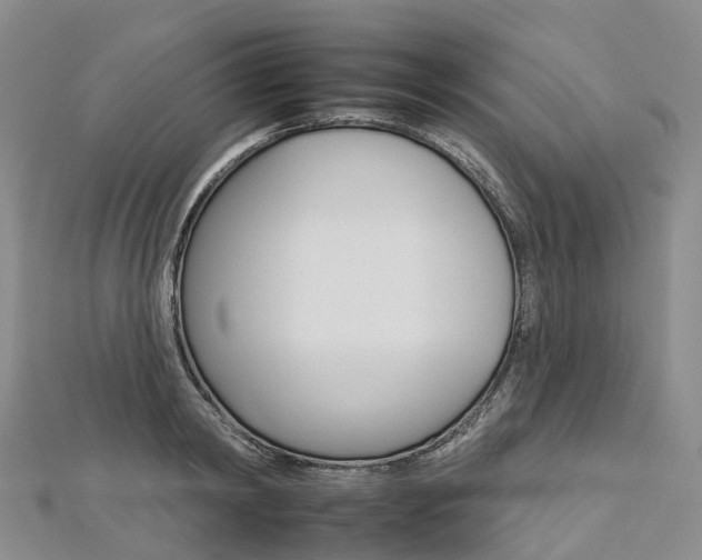 X0000112930798200908241053