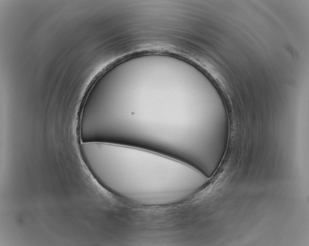 X0000112930799200908241053
