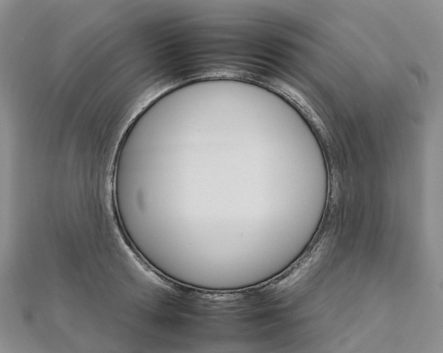 X0000112930802200908241053