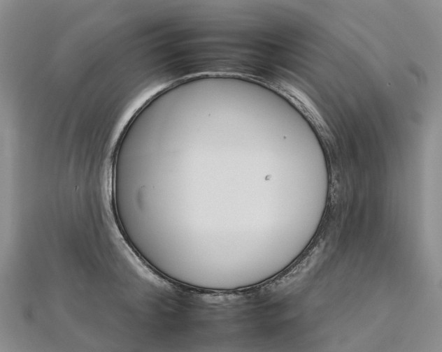 X0000112930804200908241053