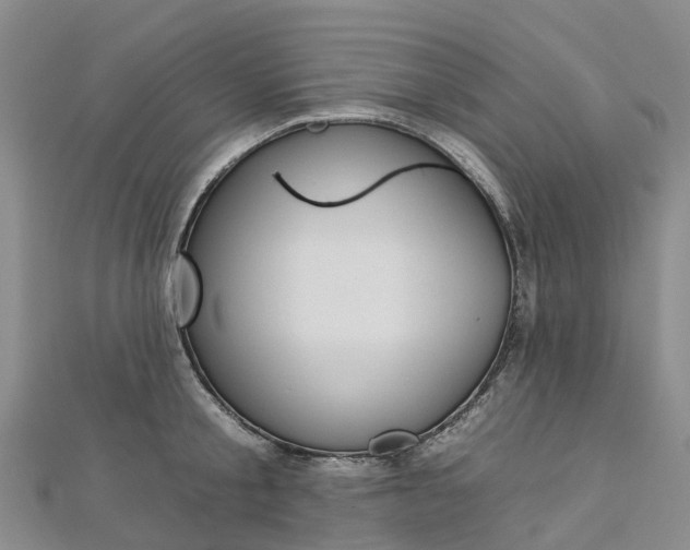 X0000112930805200908241053