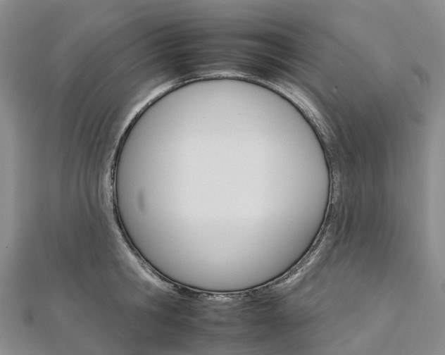 X0000112930806200908241053