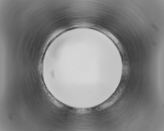 X0000112930807200908241053