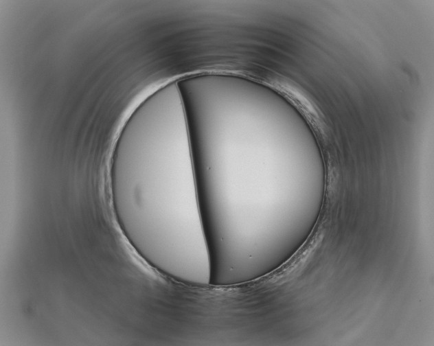 X0000112930808200908241053