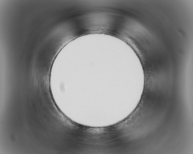 X0000112930810200908241053