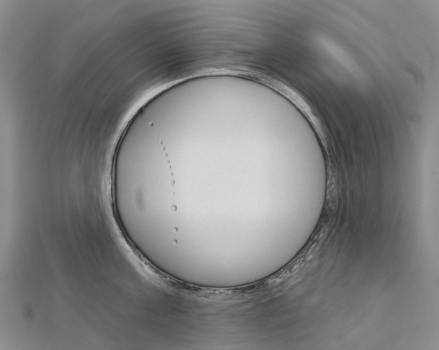 X0000112930811200908241053