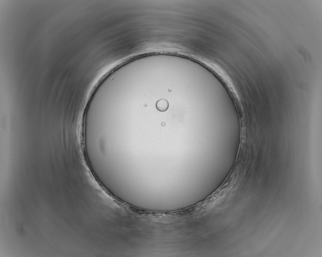 X0000112930815200908241053