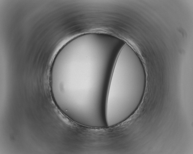 X0000112930816200908241053
