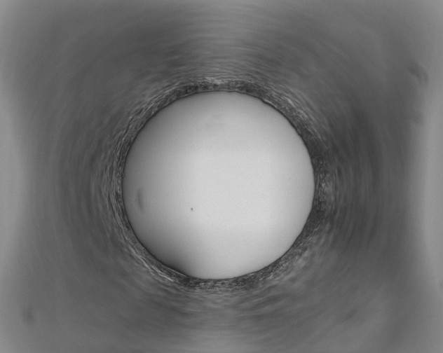 X0000112930817200908241052