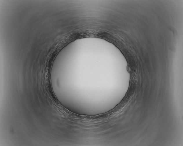 X0000112930818200908241052